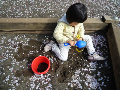 モモ砂場 モモ砂場