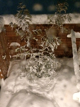 %E5%86%99%E7%9C%9F%203